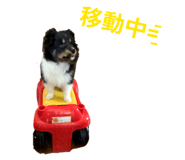 856276661
