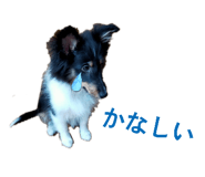 856276665