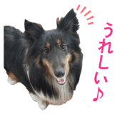 856276666