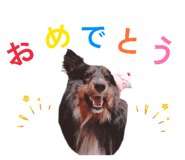 856276670