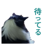 856276672