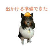 856276673
