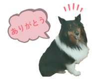 856276674