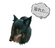 856276677