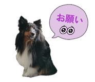 856276678