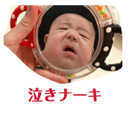 856277427