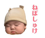 856277431