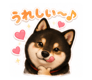 856277627