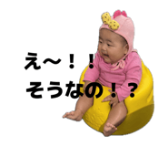 856277634