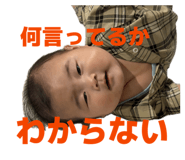 856277644