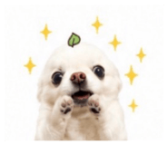 856278334