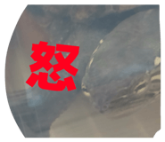 856278473