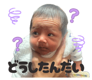 856278756