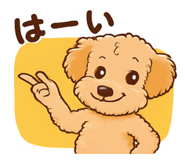 856279178