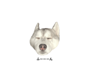 856279230