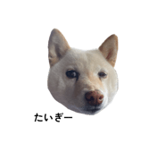 856279232