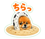 856279543