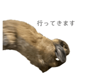856279727