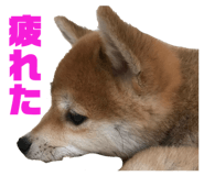 856280164