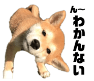 856280165