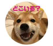 856280166