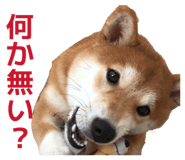 856280167