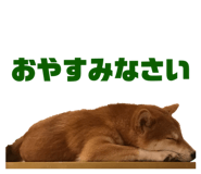 856280168