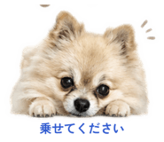 856280385