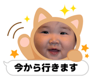 856281136
