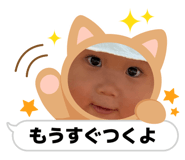 856281141