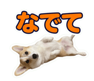856281334