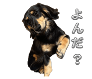 856281335