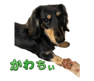 856281344