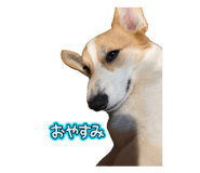 856281350