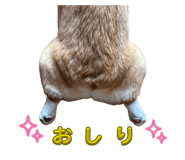 856281353