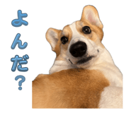 856281354