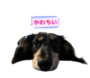 856281357