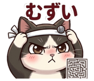 856281668