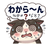 856281670