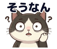 856281674