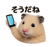 856281779