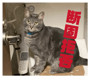 856282167