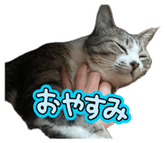 856283052