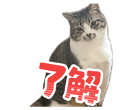 856283053