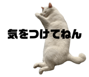 856283124