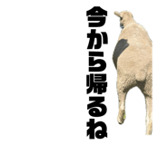 856283127