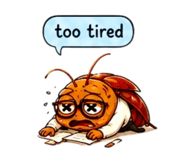 856284054