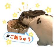856284108