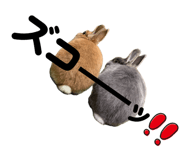 856284656
