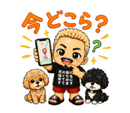 856284753